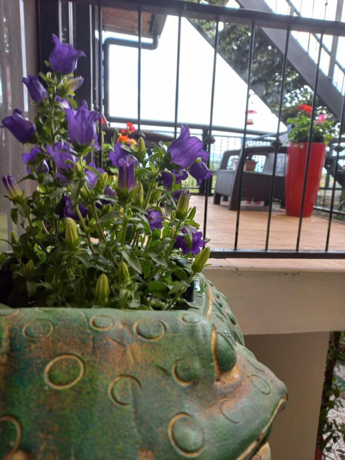 Rancha Azul Inn Alajuela Kültér fotó