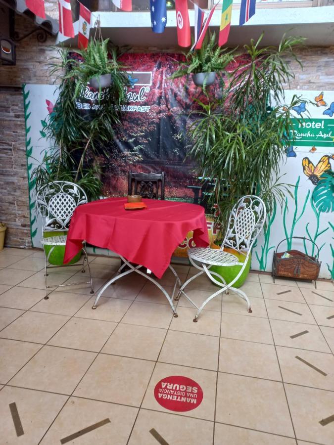 Rancha Azul Inn Alajuela Kültér fotó